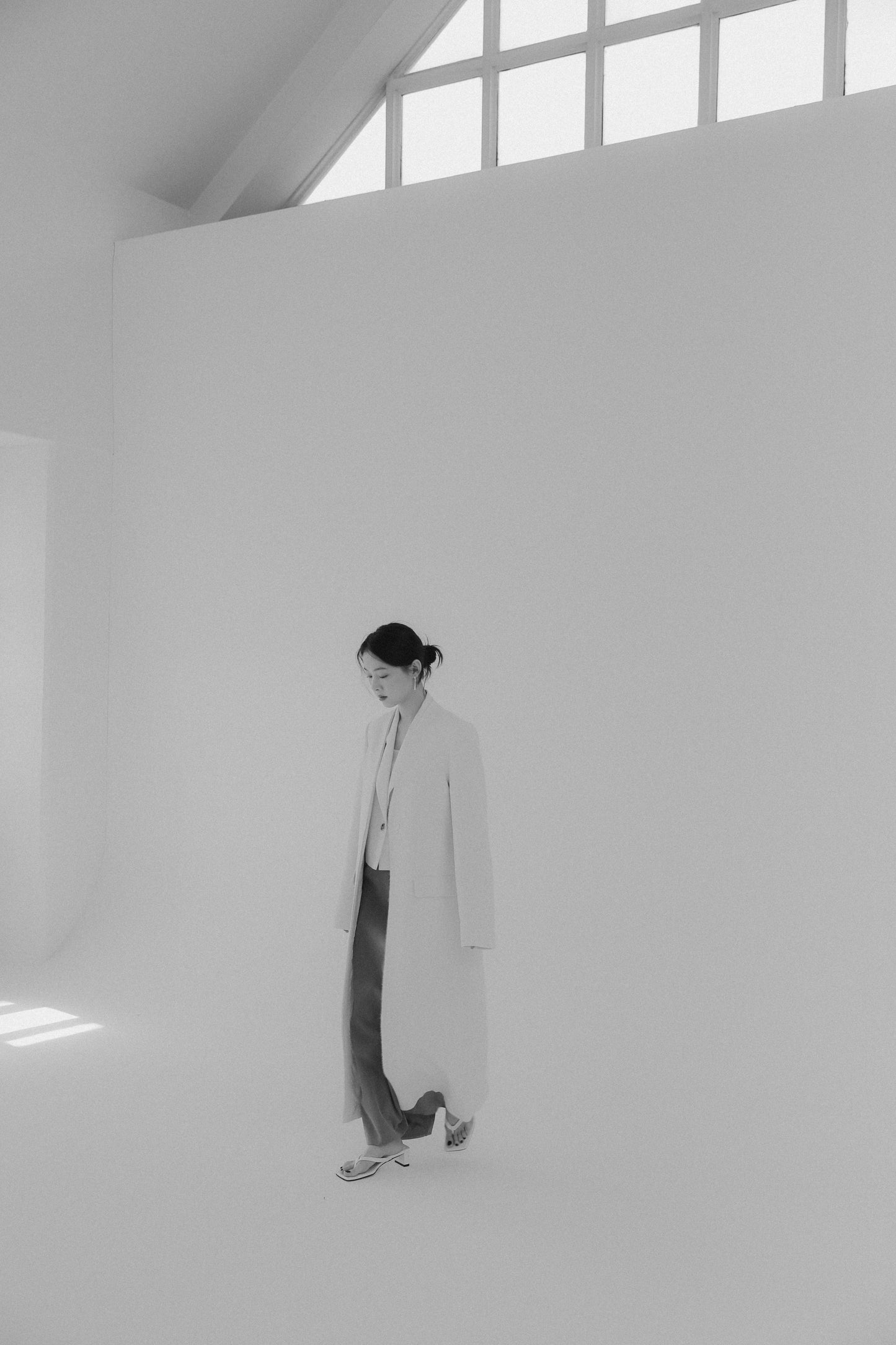 Meteor signature long coat